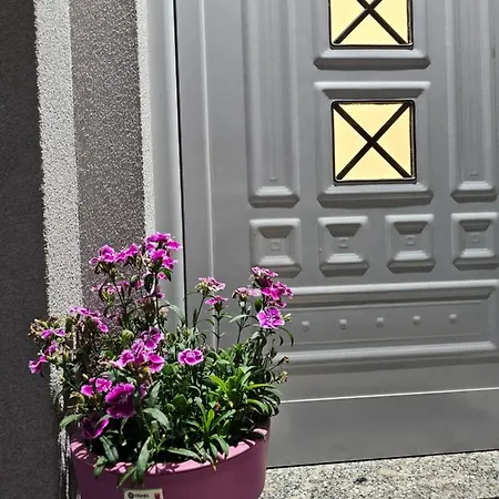 Apartment 31 *