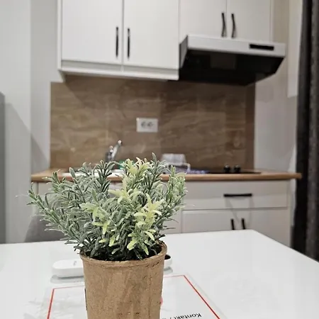 31 Apartment